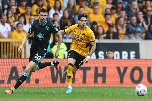 参赛的国家 参赛的国家